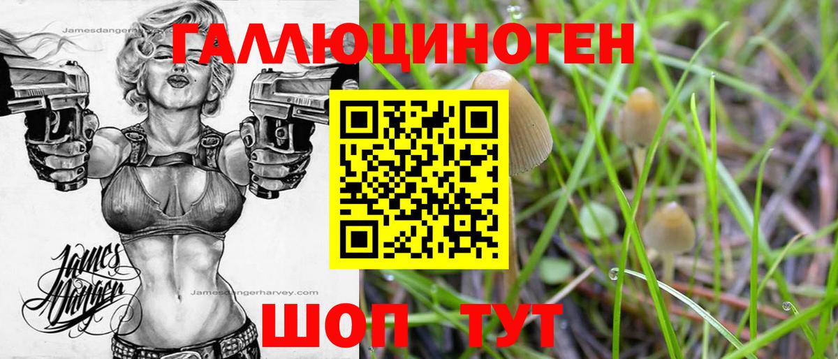Псилоцибиновые грибы мухоморы  Галлюциногенные грибы Psilocybe  Урай  Вход с VPN 