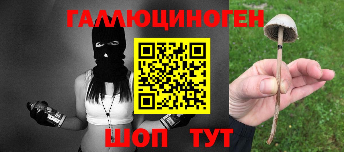 Псилоцибиновые грибы прущие грибы Урай